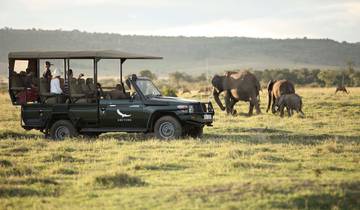 Wilde sporen van de Grote Migratie - 6-daagse safari in Kenia-rondreis