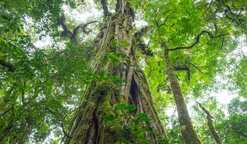 Le meilleur du Costa Rica (including Parc national de Manuel Antonio)