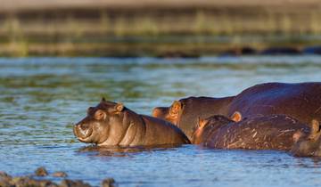 Great African Roadtrip: Desert Dreams & Safari Wonders (16 Destinationen)