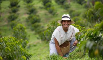 Appel de la Colombie : là où la vie est pleine de café et de couleurs (5 destinations) circuit