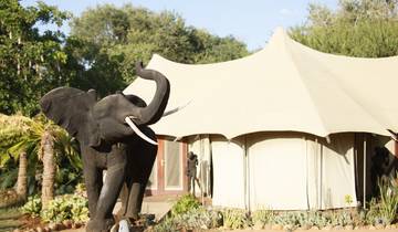 Safari de 10 jours sur la migration en Tanzanie (d\'Arusha à Arusha) dans de bons lodges - tout compris circuit