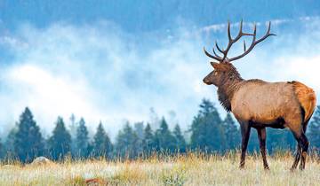 Majestic Rockies & Alaskan Cruise 2026 - 16 Days