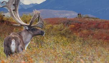 Magnificent Rockies & Alaska Exploration