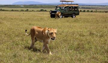 Wild & Beach Escape : 10 jours de safari en Tanzanie et vol vers Zanzibar circuit