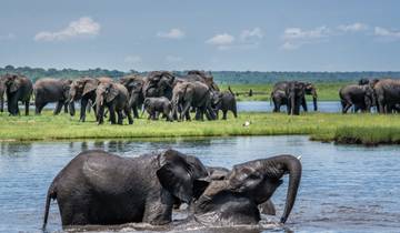 Große Migration Safari: 13-tägiges Kenia & Tansania Abenteuer