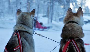 7 Days in Finnish Lapland, incl. Rovaniemi and Saariselkä