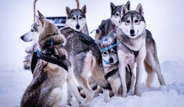 7 Days in Finnish Lapland, incl. Rovaniemi and Saariselkä