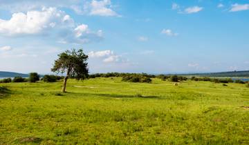 2 Day Akagera National Park Tour