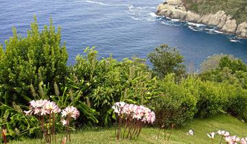 4 Day Sao Miguel Island.