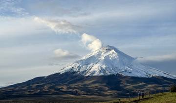 3 Days Cotopaxi Volcano Trek, incl. Quito and Cotopaxi National Park