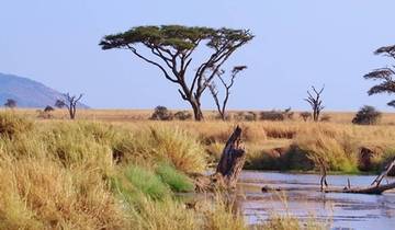 Customized Wildlife Safari in Tanzania, Daily Departure & Private Adventure (6-Days)