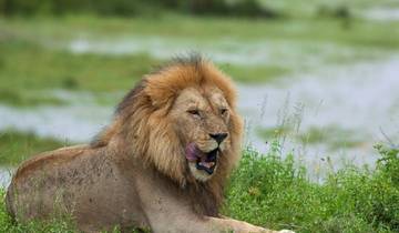 Tanzania