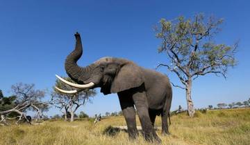 Tanzania klassieke safari 3 dagen