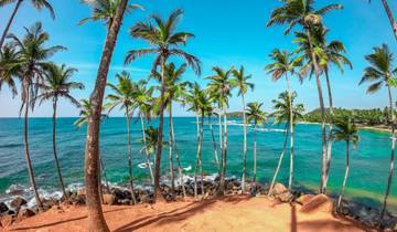 Sri Lankan Adventure - Train, Surf & Safari!