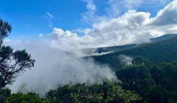 6 jours Route de Marangu | Ascension du Kilimandjaro