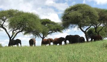 Safari de 6 jours en Tanzanie avec les Big Five (Serengeti, Ngorongoro et autres)