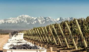 7 jours en Argentine : de Buenos Aires à la région viticole de Mendoza