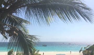Stone Town and Spice Tour in Zanzibar