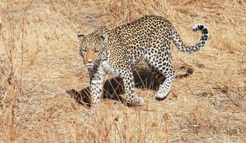 Safari de 2 jours dans le Tarangire et le cratère du Ngorongoro circuit