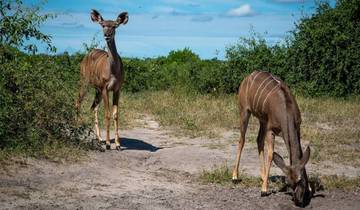 7 Day Zambia Including Victoria Falls, Chobe Day, Mukuni village And Livingstone City