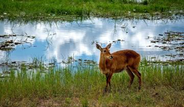 7 Day Zambia Including Victoria Falls, Chobe Day, Mukuni village And Livingstone City