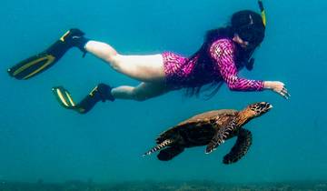 13 Day Panama Itinerary, incl. Panama City and Bocas del Toro