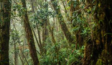13 Day Panama Itinerary, incl. Panama City and Bocas del Toro