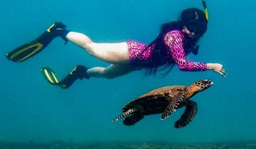 13 Day Panama Itinerary, incl. Panama City and Bocas del Toro