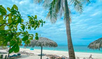 13 Day Panama Itinerary, incl. Panama City and Bocas del Toro