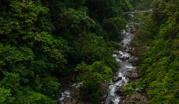 13 Day Panama Itinerary, incl. Panama City and Bocas del Toro