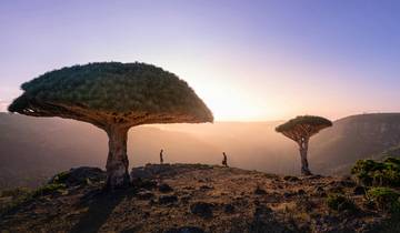 Circuito Yemen continental e isla de Socotra