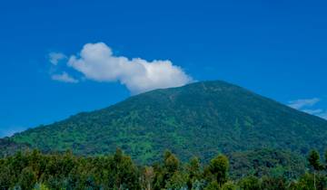3 Days 2 Nights Golden Monkey & Uganda Gorilla Trekking Safari Tour