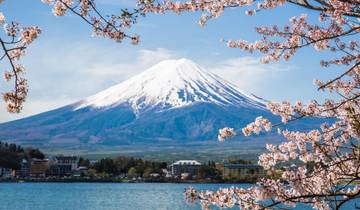 La magie du Japon circuit