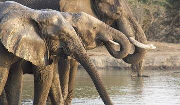 Escape to Tranquility: Zambezi River in 6 Days