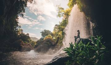 Aventure à Daintree et Cape Tribulation (11 destinations)