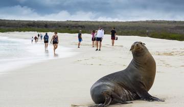 Grand Majestic 4 dagen A