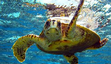 Circuito Crucero Rey Ramsés por el Nilo (y vuelo opcional) - 13 días