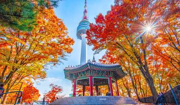 Japan & Südkorea: Train Rides to Endless Memories