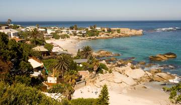 1 Day - Cape Peninsula Point Penguins & Chapmans Peak