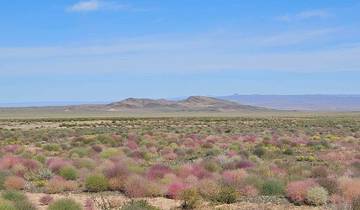 7 Days in Mongolia, incl. Gobi Desert and Terelj National Park