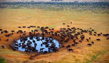 Roadtrip en Afrique du Sud : l\'aventure entre le Kruger, le Cap et la côte (30 destinations) circuit