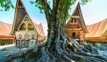 Los contrastes de Asia: la selva de Sumatra y los rascacielos resplandecientes (5 destinations)