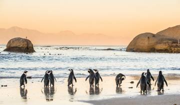 Roadtrip en Afrique du Sud : sur la Garden Route à la rencontre des Big Five circuit