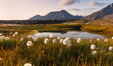 Aventure au Svalbard : Fjord Vibes & Arctic Nights circuit