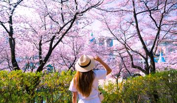 Japan Meets Korea: Rail Road Adventure & Seoul City