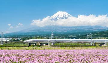 Iconic Japan : merveilles futuristes et traditions intemporelles (including Fuji)