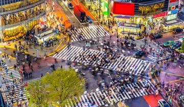 La liste des choses à faire au Japon : Lumières de la ville et vibrations mystiques du Fuji circuit