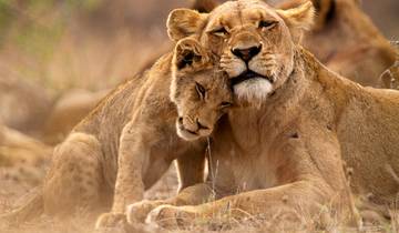 South Africa Road Trip: Kruger Safari Meets Garden Route (27 destinations) Tour