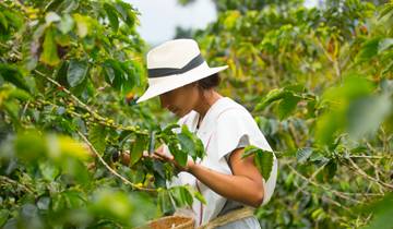 Appel de la Colombie : là où la vie est pleine de café et de couleurs (3 destinations)