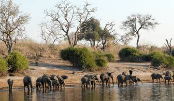 1 jour - Croisière sur le fleuve Chobe et observation du gibier circuit
